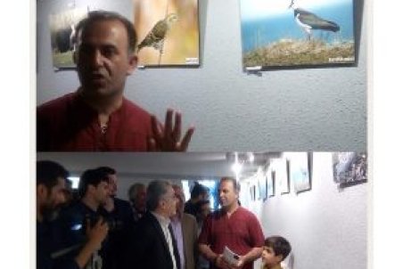 گیلان| برپایی نخستین نمایشگاه عکس حیات وحش در رضوانشهر