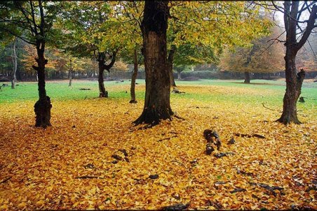 پارك‌هاي ملي، نمايشی از شاهكار طبيعت ايران زمين