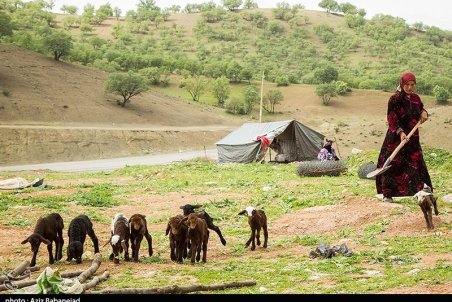 لرستان| سه هزار نفر از عشایر سلسله تحت پوشش بیمه اجتماعی