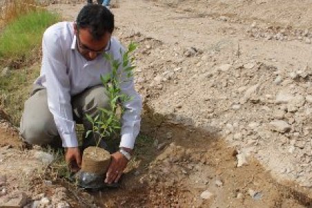 گلستان| آغاز مرحله دوم آبیاری بوته کاری‌ها در آق‌قلا