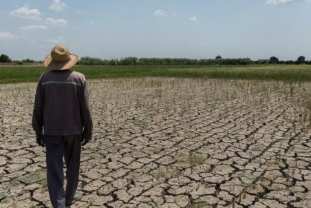 مازندران| کل مازندران اسیر خشکسالی