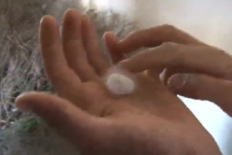 آذربایجان شرقی| برداشت پیله در شهرستان خداآفرین