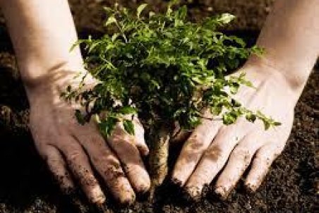 گلستان| انجام عملیات بیولوژیک آبخیزداری در حوزه‌های آبخیز گلستان