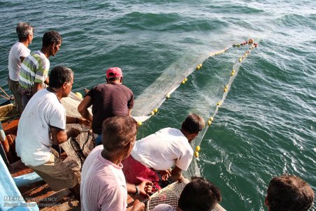 بوشهر | تور خالی ماهیگیران