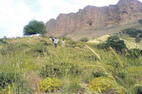 ایلام| گستره اراضی حفاظت‌شده ایلام افزایش می‌یابد