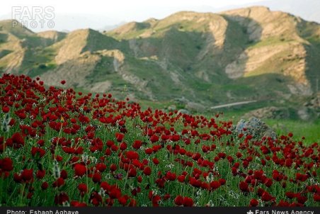 کهکیلویه و بویر احمد| سرزمین برف و آفتاب تشنه توجه