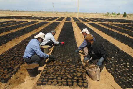 سمنان| سمنان اسیر بیابان