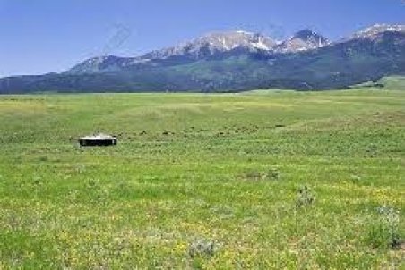 اجاره مراتع کشور  به قطري‌ها ؟