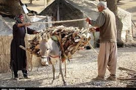 کرمانشاه| کوچ آب