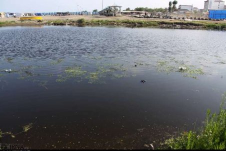 سبز زیبای ترسناک!