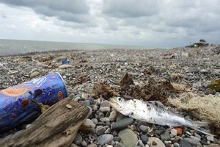 شیرجه به عمق آلودگی