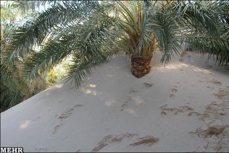 کرمان| متروکه تا اطلاع ثانویه