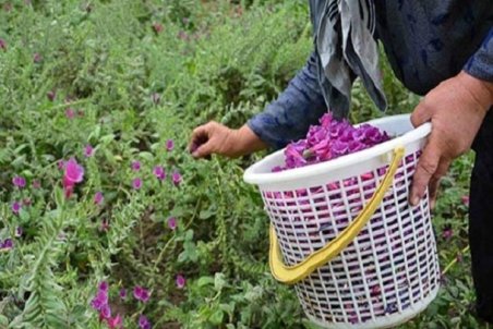 اردبیل| سرمایه‌ای در دل خاک