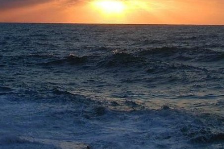 شعرهای یک آقازاده با ژن خوبِ مصیبت!