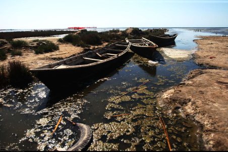 مازندران| حکایت تلخ آلودگی خزر