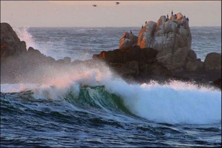 آبياري بذر امید با دریای عمان