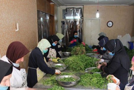 آشپزخانه اي براي زنان سرپرست خانوار