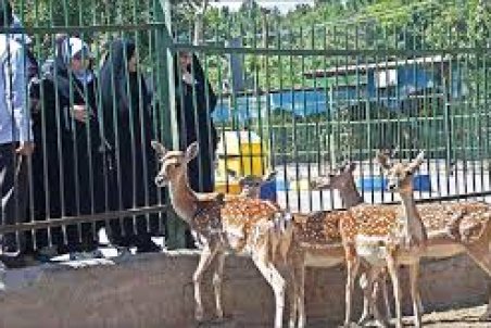 خراسان رضوی| تعطیلی بیخ گوش باغ‌وحش مشهد