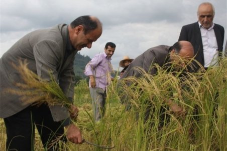 مازندران| بحران خاموش