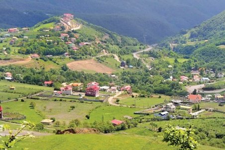 اسب پیشکشی ، بی‌دندان است