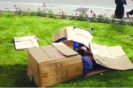 تهران|نشئگی زیر درختان خیس