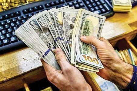 دلار در پوستين توليدكننده