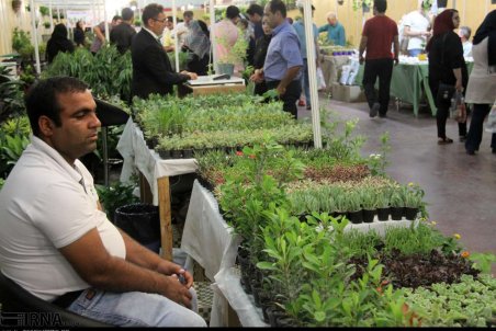 هفتمین نمایشگاه گل و گیاه قزوین
