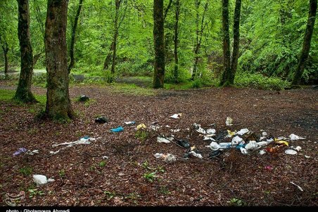 مازندران| دردسر طلای کثیف