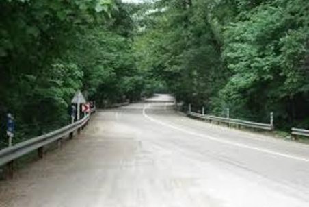 گلستان|«اتوبان سازی زیرپوستی» درپارک ملی