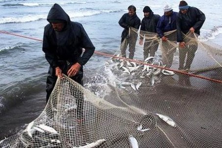 سیستان و بلوچستان| دلخوری صیادان از کشتی‌های صید صنعتی