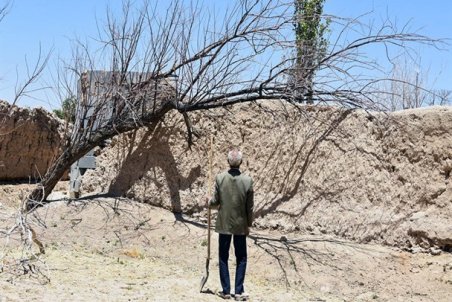 بوشهر| جم روی خط خشکسالی