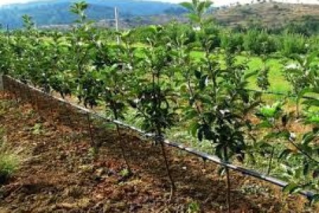 آذربایجان غربی| تیر خلاص بر پیکر دریاچه ارومیه