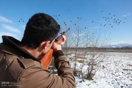 مازندران| جفا در حق مهمانان خزر