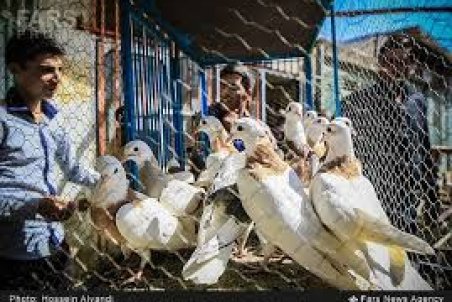 همدان| بازار مظفریه همچنان فعال است