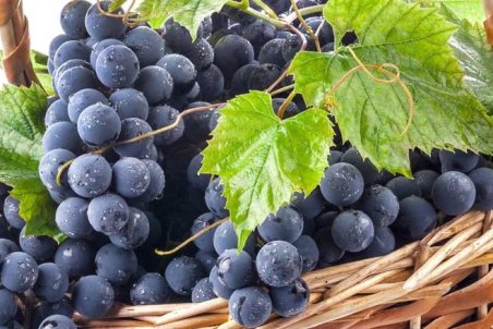 مجالي براي معرفي جاذبه‌ها