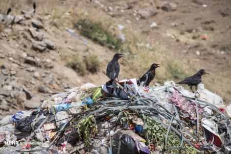اردبیل| معضل زباله ها در خلخال