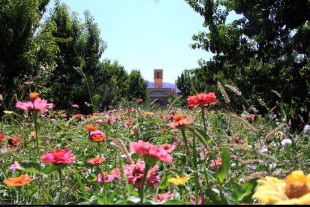 یزد| عمارت و باغ صدری