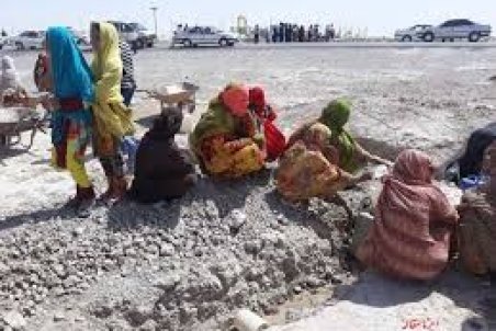 مهاجرت تشنگان