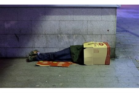 فوق لیسانس های کارتن خواب