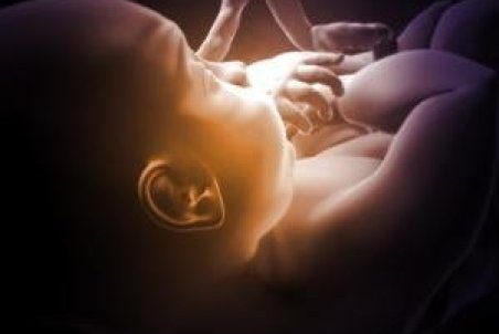 از مکانیک سیالات تا درمان ناباروری مردان