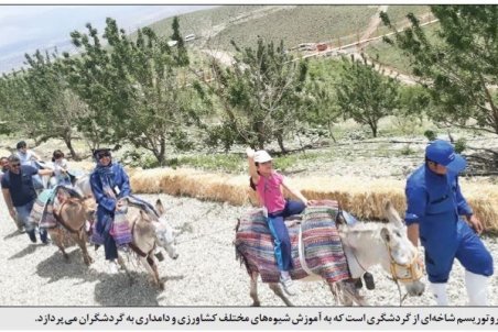 آشتی با طبیعت در گردشگری کشاورزی