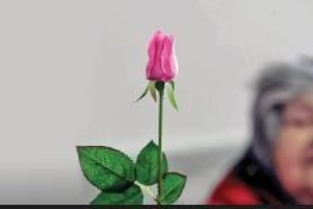 سند‌ملی‌آلزایمر باید به‌تصویب دولت برسد