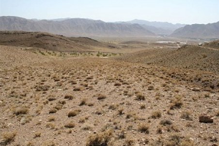 خراسان جنوبی| طرح کاداستر در بیش از ۳ میلیون هکتار از اراضی استان اجرایی شد