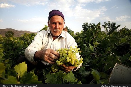 همدان| بازار سیاه تیزاب در ملایر