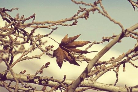 طعم پاييزانه کتاب