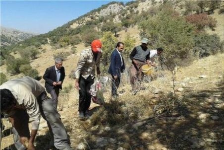 خراسان جنوبی| فرصت سوزی به سبک گیاهی