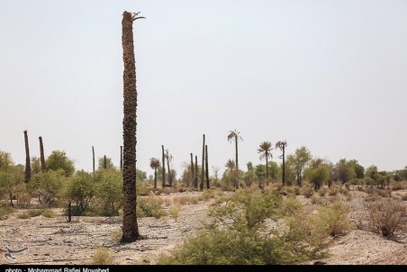 کرمان| رودبار کرمان اسیر خشکسالی
