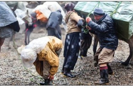 نان به نرخ جان