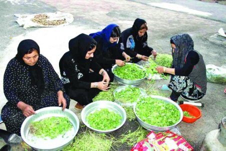 «تنها» در روستا!