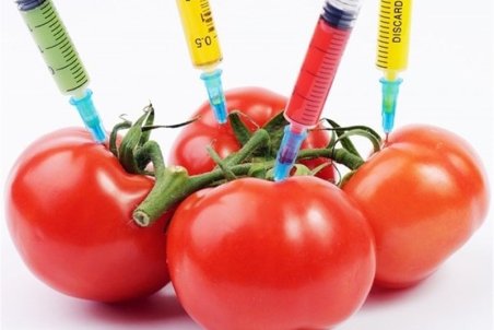 جدال بر سر امنيت غذايي